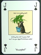 1 x playing card Magnificent