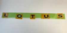 Genuine Lotus BLACK Emblem