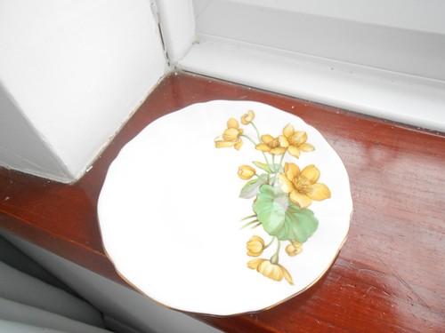 Mayfair side plate yellow