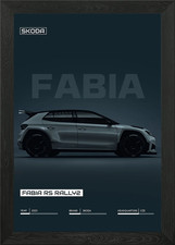 Skoda Fabia RS Rally2 Framed