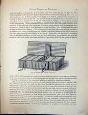 Old Antique Print Birds Fulton