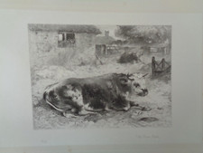 1864 SCRAPS OF NATURE ETCHED