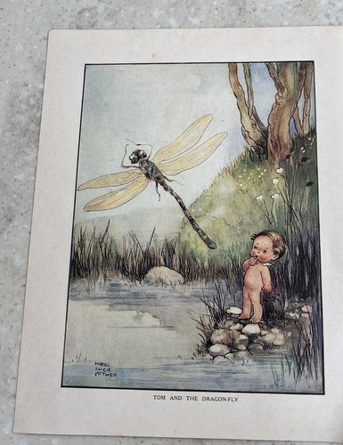 Repro colour plates from - 8,
