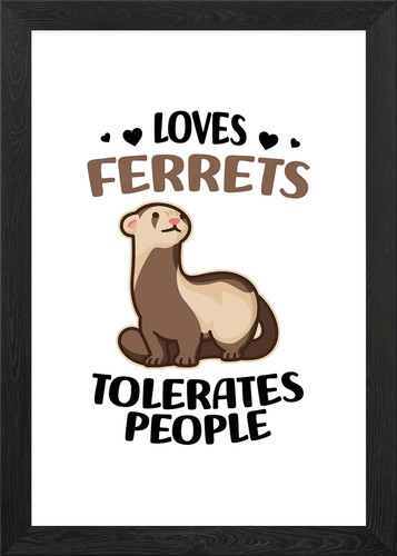 Ferret lover ferrets - ferrets, gifts