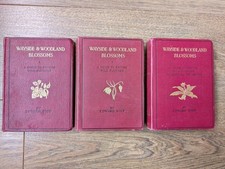 Wayside And Woodland Blossoms