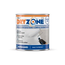 Dryzone Anti Mould Paint -