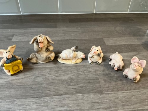Piggs piggin collectors - piggs, x