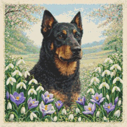 Beauceron puppy dog spring - puppy,