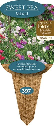 Sweet pea plants mixed - -, 3