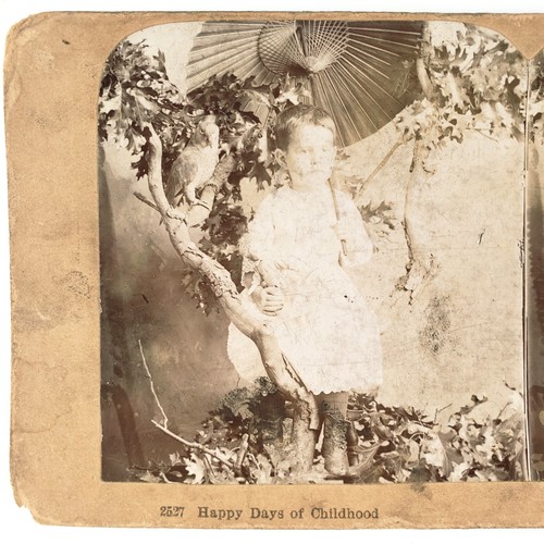 Bird child holding - child, parasol