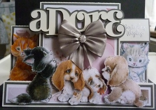 Dogs and cats - dogs,