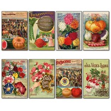 Vintage Botanical/Horticultural seed packet fridge magnets - set of 8 - No.3