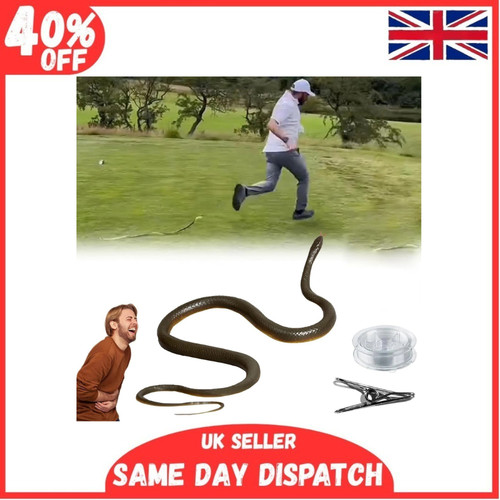 Fake rubber snake prank with - prank,