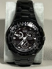 citizen eco drive Black Eagle