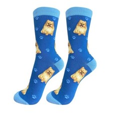Pomeranian Socks 