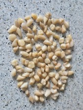 120 Acrylic False Teeth