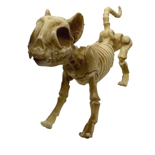 Articulated cat skeleton - articulated,