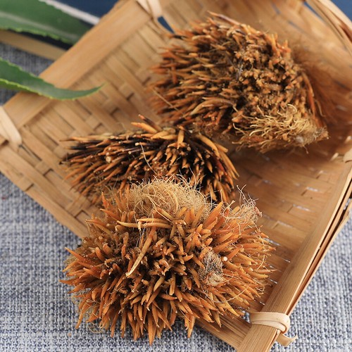 Authentic chinese specialty - authentic,