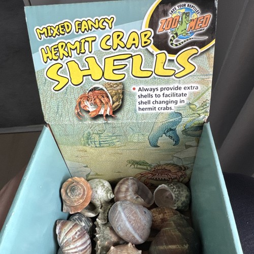 Shells for hermit crabs - shells,
