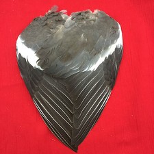 PAIR WOOD PIGEON WINGS FEATHER TAXIDERMY FASHION  CRAFTS HATS ART