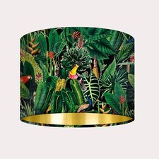 Black Parrot Peacock Tropical