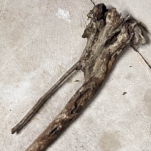 Natural wooden cane - wooden, walking