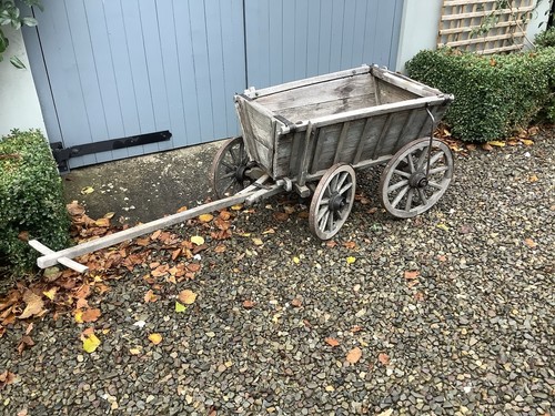 Vintage dog cart - vintage,