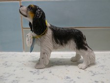 Leonardo dog studies cavalier - studies,