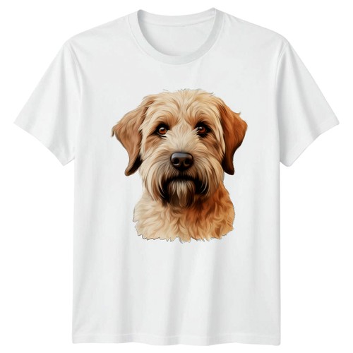Soft coated wheaten - soft, terrier