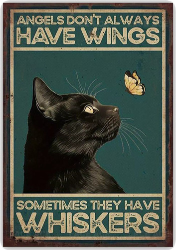 Funny black cat angels - funny,