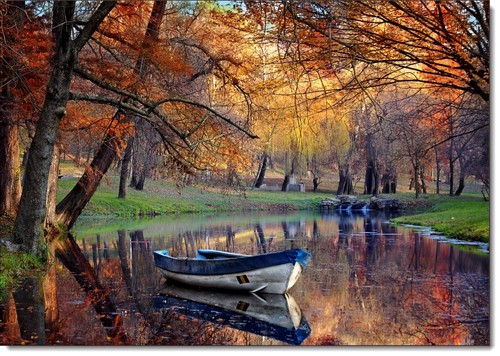 Doodlecards photographic - doodlecards,