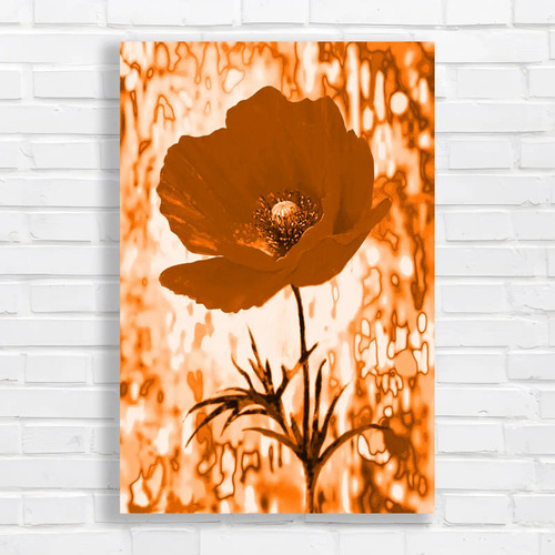 Vibrant crimson poppy orange - crimson,