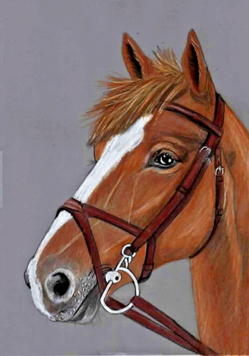 Original colour pencil artwork - original,