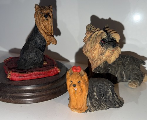 Yorkshire terrier dog - yorkshire,
