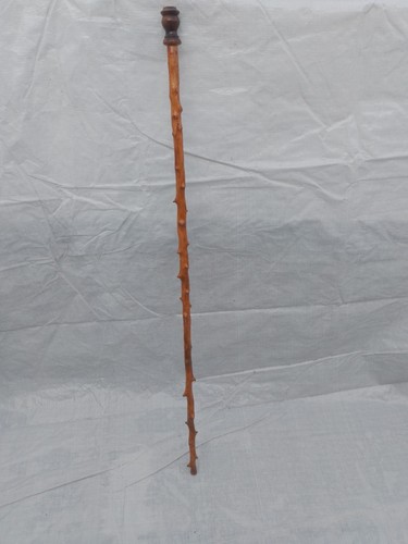 Handcrafted apple wood staff - handcrafted,
