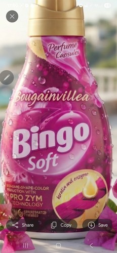 Bingo soft bougainvi - bougainvi, konsantre