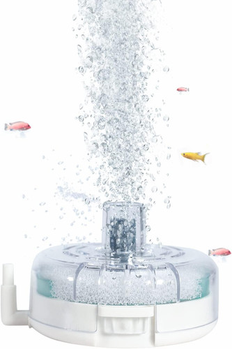 Mini aquarium sponge - aquarium,