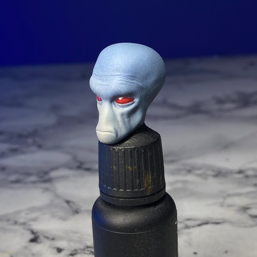 Hand painted custom head - 1/12, hand-painted