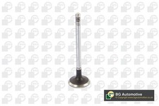 BGA V424831 Intake Valve Fits