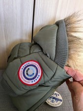 NEW Cold Alert hooded dog