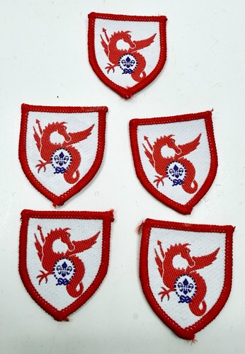 Vintage welsh scout - 5, badges