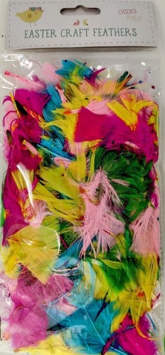 Easter coloured feathers - easter,
