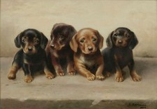 Carl Reichert - Four Dachshund
