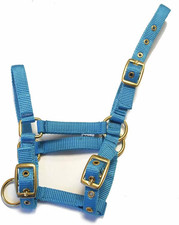 Nylon Foal Headcollar -