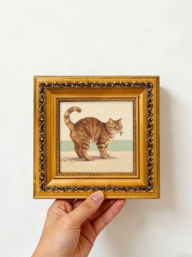 Proud tabby cat - proud,