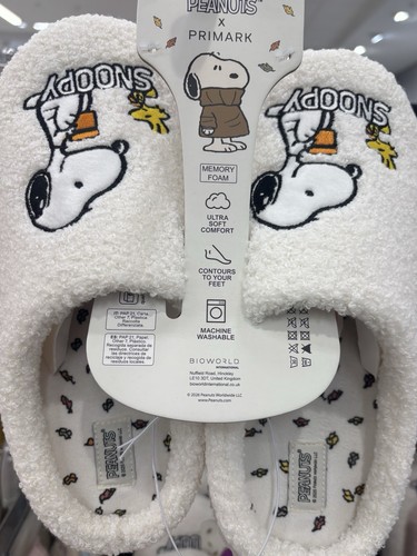 Peanuts snoopy memory - snoopy,