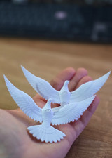 Turtle Doves – Pair - Home