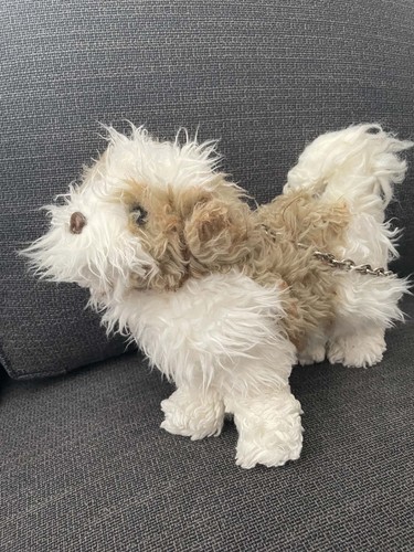 Fuzzy nation cute dog - cute,