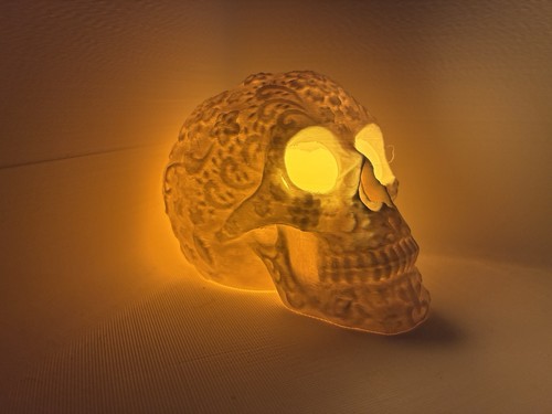 Skull candles holder - skull,