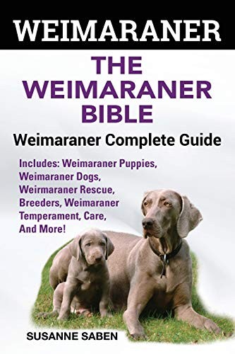 Weimaraner the weimaranar - weimaraner:,